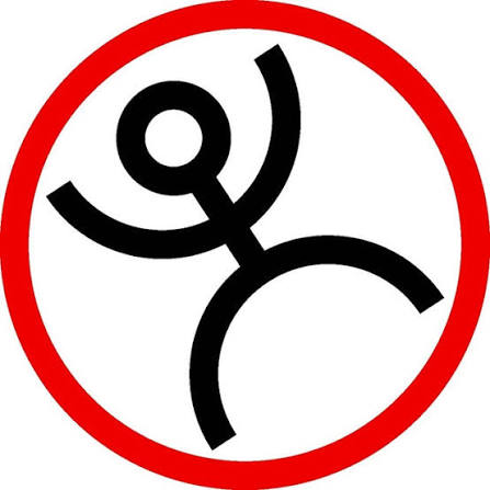 Physio Team Bern Logo